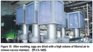 Illustration for article titled Americans – why do you keep refrigerating your eggs?